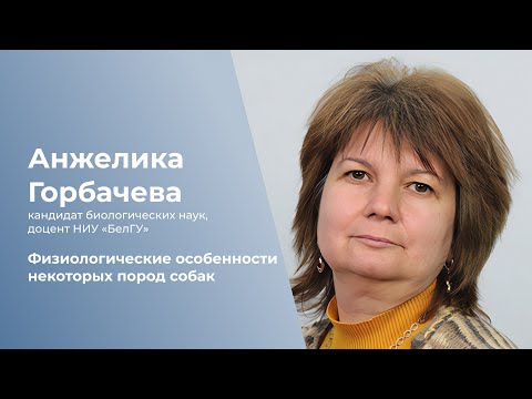 Видео: Физиологические особенности некоторых пород собак