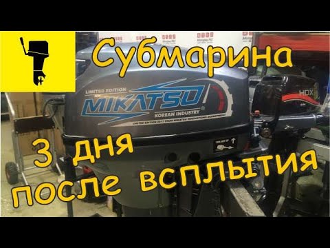 Видео: Утопили MIKATSU 9,9. Разборка, ремонт.