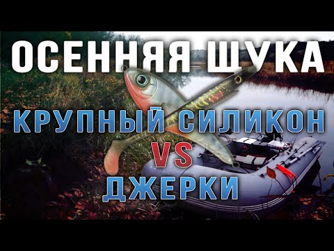 Видео: Осенняя щука  Джерки или крупная резина