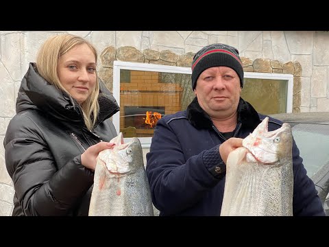 Видео: НОВОГОДНЕЕ БЛЮДО‼️Лосось с икрой в соусе🐟блюда из рыбы🔴икра✔️вкусный рецепт