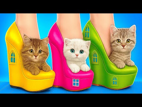 Видео: Я сделал секретный домик для моей кошки 😻💕 Реакция кошки на секретный домик