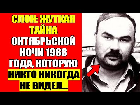 Видео: Слон: Вы Думаете, Он Был Обычным Таксистом? Ошибка