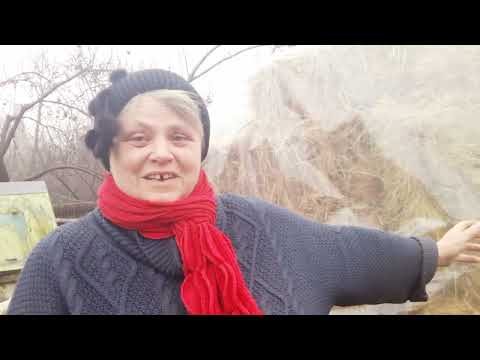 Видео: Сколько корова может съесть сена?