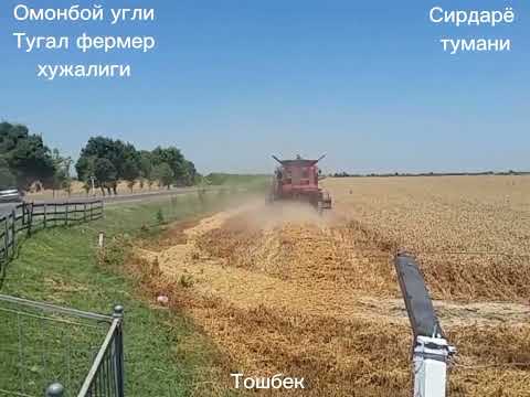 Видео: Эсанбой Кузибоев