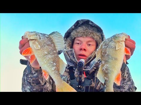 Видео: КОНЕЦ ПОЛЯРНОЙ НОЧИ!!!  ОНИ ПЕРЕЖИЛИ ЕЕ!!! РЫБАЛКА НА ТУНДРОВЫХ ОЗЕРАХ !!
