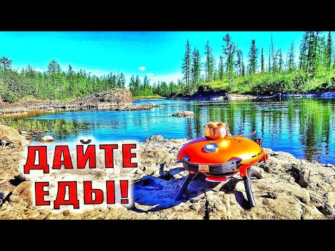 Видео: РЫБА ПРЁТ ЛЕСКИ РВЕТ l ЕДИМ КОМАРОВ l КРУГОМ МЕДВЕДИ