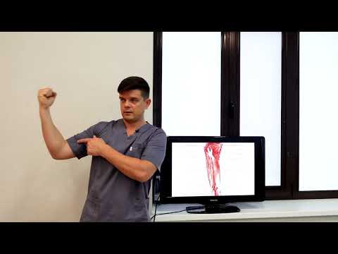 Видео: Мышцы бедра, как правильно делать массаж