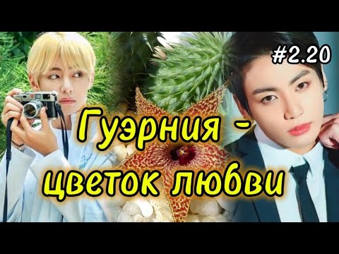 Видео: ГУЭРНИЯ - ЦВЕТОК ЛЮБВИ  /  2 часть 20 глава  /  Ли Соль  /  Озвучка фанфика  #вигуки #фанфик  #намги