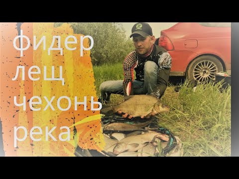 Видео: Лещ на фидер на реке. Рыбалка на Оке. Чехонь на фидер