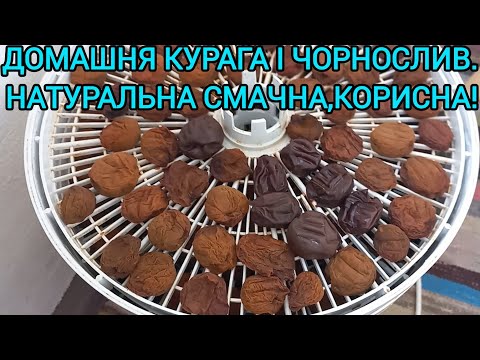 Видео: Домашня КУРАГА і ЧОРНОСЛИВ 🍑Легко приготувати навіть без електросушки#курага#чорнослив#домашніцукати