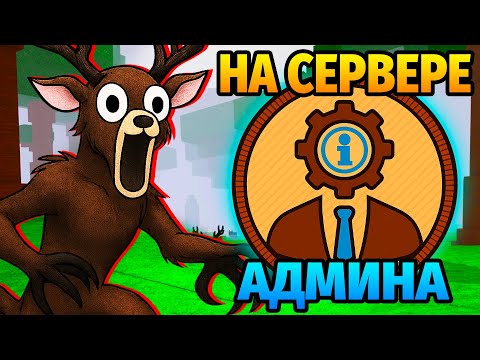 Видео: 😱99 НОЧЕЙ в ЛЕСУ на СЕРВЕРЕ АДМИНА 99 Nights in the Forest в Роблокс