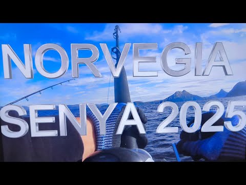 Видео: Рыбалка в Норвегии 2025 ! Второй день ! Вторая часть ! Крупная сайда !