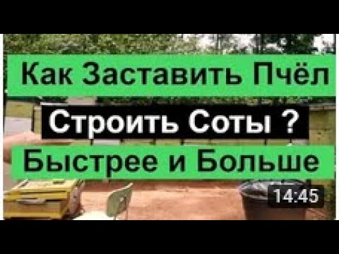 Видео: Beekeeping №111 Как заставить пчёл тянуть вощину Лучше и быстрее? Советы старых пчеловодов- пасека