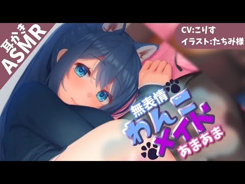 Видео: 【ASMR EarCleaning】わんこメイド～濡れ綿棒編～【擬人化 耳かきボイス 耳奥  ロールプレイ Japanese こりす 귀이개 แคะหู Чистка ушей】