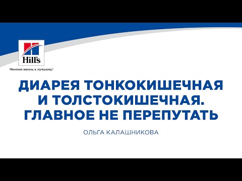 Видео: Вебинар на тему: "Диарея тонкокишечная и толстокишечная. Главное не перепутать".