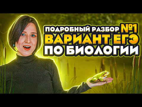 Видео: ЕГЭ по биологии. Разбор варианта №1 Кириленко (Легион) | ЕГЭ-2025 по биологии