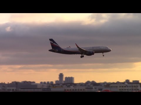 Видео: Споттинг в Шереметьево: А320, A320neo, A321 Аэрофлота на фоне грузовых Boeing 747 и Ан-124.
