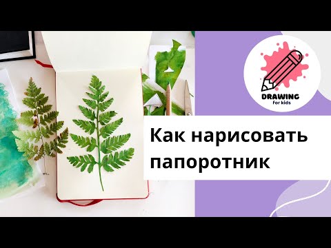 Видео: Как нарисовать папоротник. Рисование для детей.