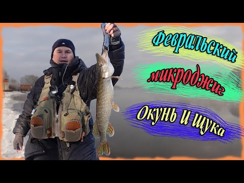 Видео: Февральский микроджиг. Окунь и щука
