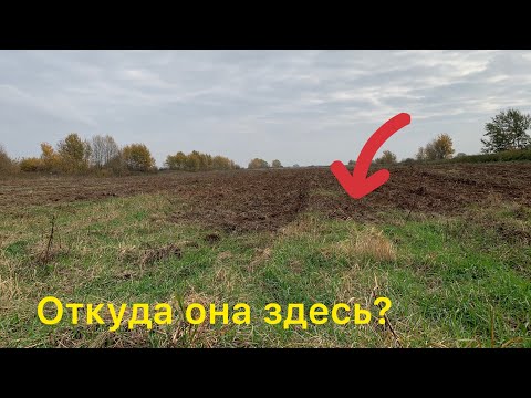 Видео: Откуда Такая Редкая Монета в этом поле?Копаю с Quest X5