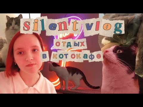 Видео: SILENT VLOG отдых в котокафе😺 | мяувлог💗 | свидание с котом и вкусный чай🫖