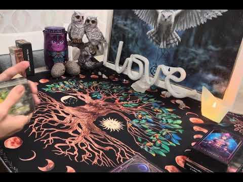 Видео: Какво мисли и чувства любимият към теб + ще се появи ли нов любовен интерес ❣️