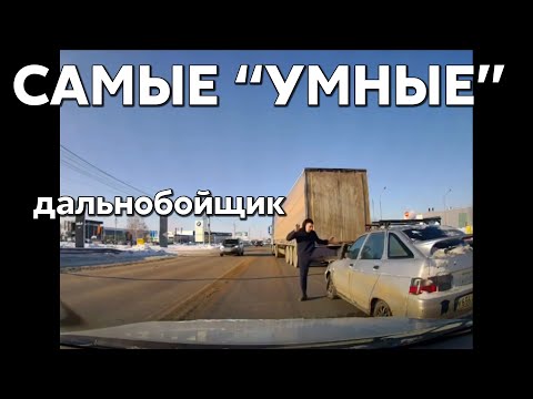 Видео: Подборка САМЫХ "УМНЫХ" водителей #951