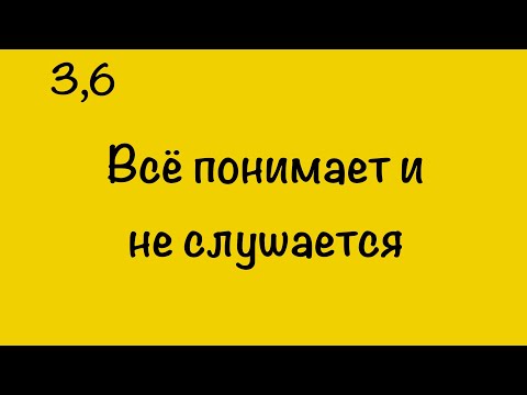 Видео: ВСЁ ПОНИМАЕТ, НО НЕ СЛУШАЕТСЯ