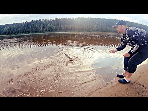 Видео: Рыбалка на Вятке c ночевкой | Уха | Чахохбили на Финской свече
