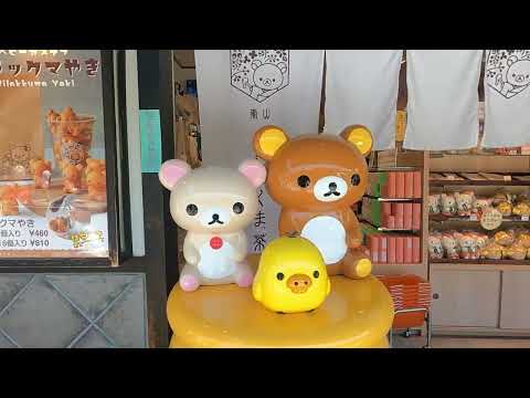 Видео: 🇯🇵 ЯПОНИЯ ГОРОД  Kyoto | много всего интересного 