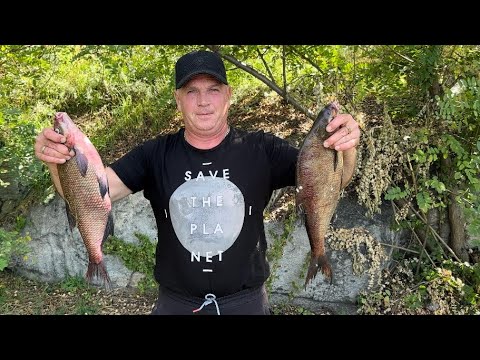Видео: ДНЕПР🎣КЛЮЁТ ОДИН ЗА ДРУГИМ‼️НА ЧТО КЛЕВАЛО⁉️
