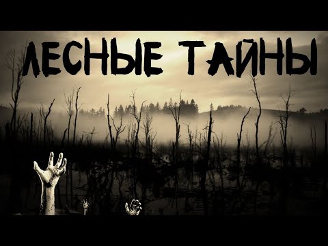 Видео: Лесные тайны. Мистика в Лесу. Три истории про Лес. (+10 subtitles)