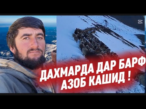 Видео: ДАХМАРДА 1999 ЧОЙЯШРО ИВАЗ КАРД БА ТАРАФОИ ГАРМИ РАФТ! АЗ ТАШНАГИ БАРФ ХУРД ЧАРО?👇👇👇👇