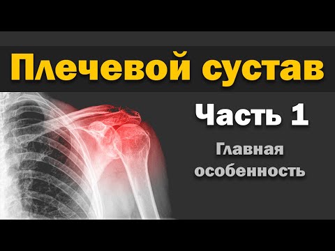 Видео: Плечевой сустав - Часть 1 - Общие аспекты строения сустава и болей в плече [S05E20]
