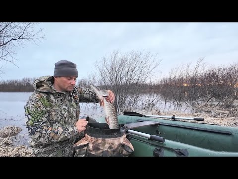 Видео: ПРОВЕРКА СЕТЕЙ НА РАЗЛИВАХ. РЫБАЛКА НА СЕТИ ВЕСНОЙ. ВОДА ПРИБЫВАЕТ, ТОПИТ ВСЕ ВО КРУГ.