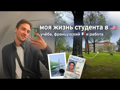 Видео: ВЛОГ моя жизнь студента в США🇺🇸 | учёба, иностранные друзья, общежитие и французский
