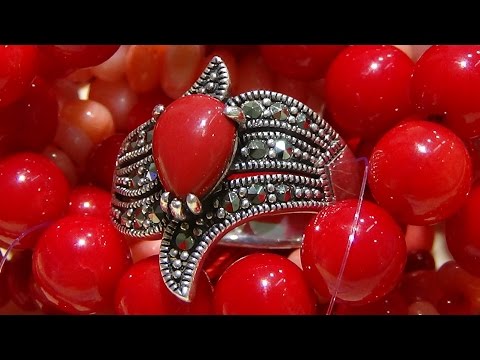 Видео: Коралл и его тайны