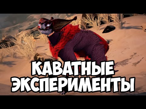 Видео: Короче, я сломал кавата
