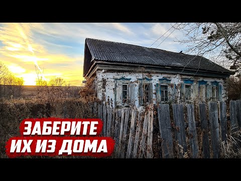 Видео: Брошенные в доме | Cамарская обл. Похвистневский район с.Старомансуркино