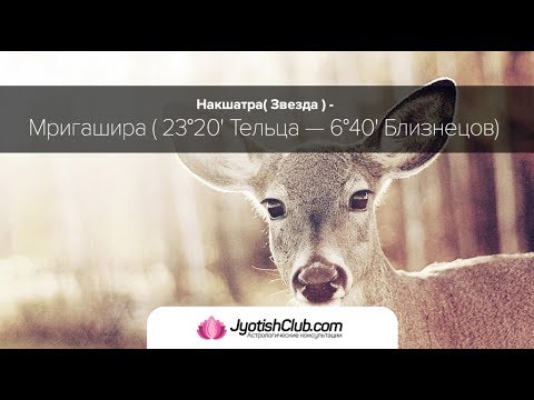 Видео: Вебинар 08.12.2018: Накшатра Мригашира. Чхара-караки