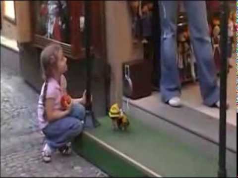 Видео: Кукла марионетка "Буратино" из Kukli24 ru