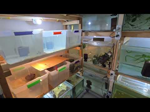 Видео: Такого я не ожидал