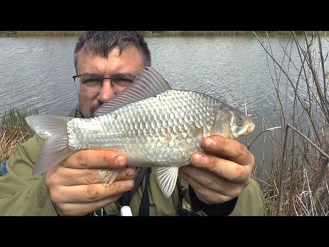 Видео: Весенний карась на донку. Деградация донки.