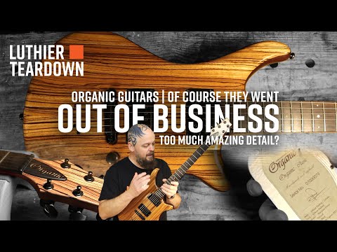 Видео: Слишком много удивительных деталей? Конечно же, они ЗАКРЫЛИ ДЕЛО — разбор «классики» Organic Guitars