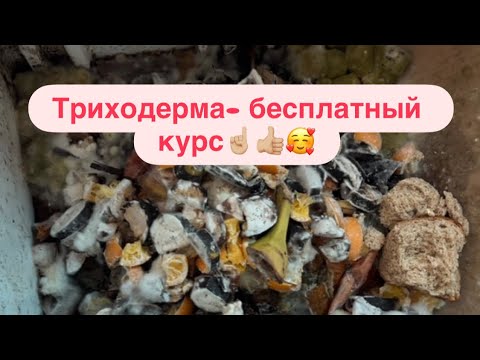 Видео: Не пропусти‼️☝🏼Основа жизни и здоровья растений