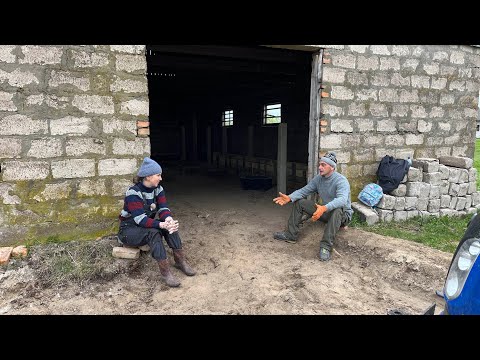 Видео: Планування стійла для биків. Прогулянка поросят! Пиріжки з мʼясом!