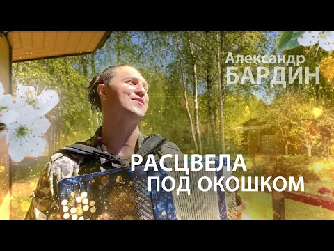 Видео: ВЫШЕЛ БАРДИН НА КРЫЛЬЦО....- Расцвела под окошком / Александр Бардин