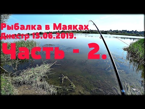 Видео: Рыбалка в Маяках, Днестр. 15.06.2019.  Часть - 2.