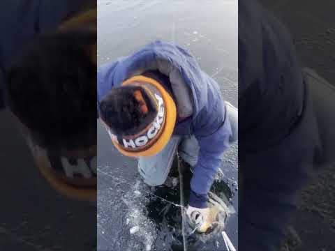 Видео: Зимняя рыбалка в Норвегии, в чем секрет профи? Winter fishing in Norway, what is his secret?