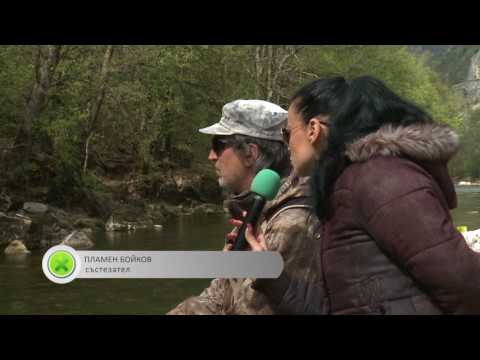 Видео: Пъстърви Михалково